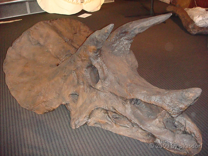 006 Cranbrook Institute of Science [2008 Jan 02].JPG